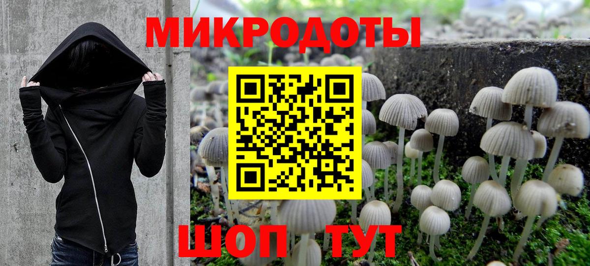 Галлюциногенные грибы Cubensis  закладка  Галлюциногенные грибы прущие грибы  Мценск  Вход с VPN 