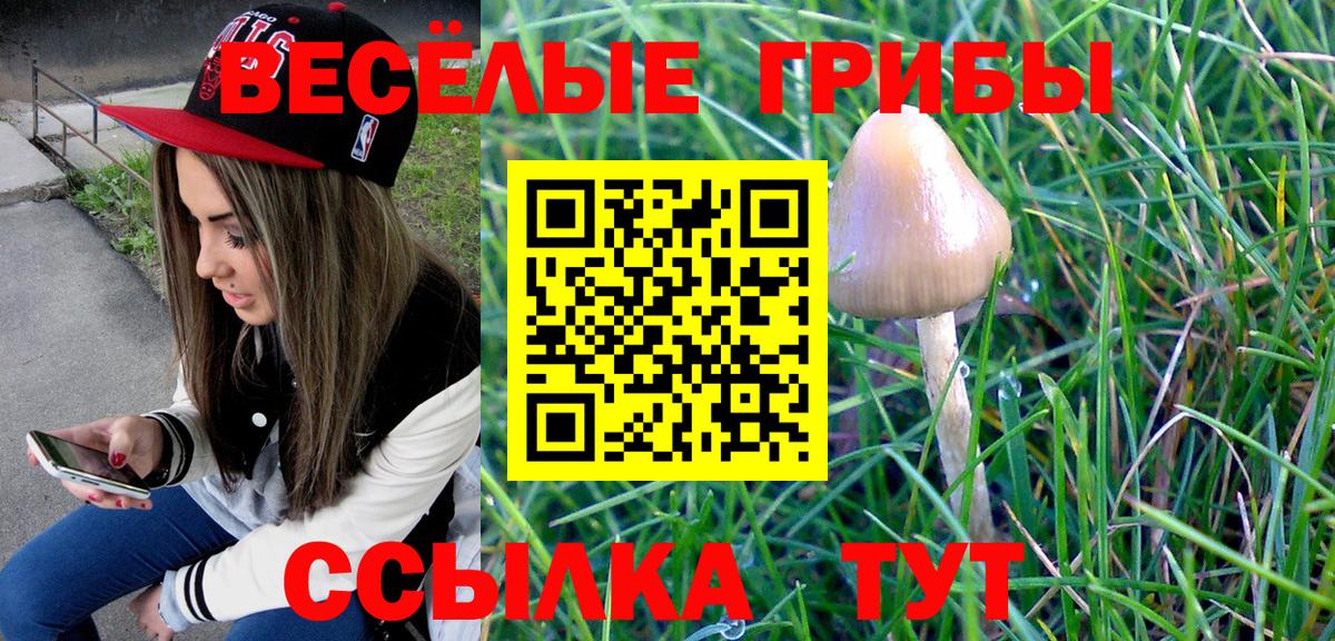 Псилоцибиновые грибы прущие грибы Мценск